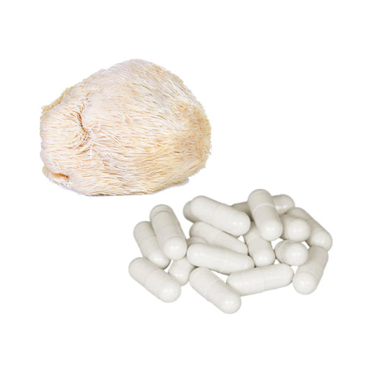 Bulk Pure 500mg Lion's Mane Mushroom Capsules Wholesale UK