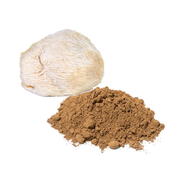 Bulk Lion's Mane Mushroom Powder Wholesale UK