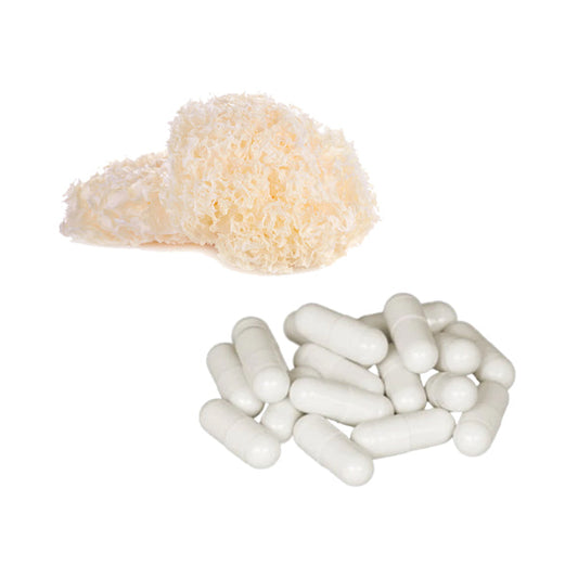 Bulk Pure 500mg Tremella Mushroom Capsules Wholesale UK