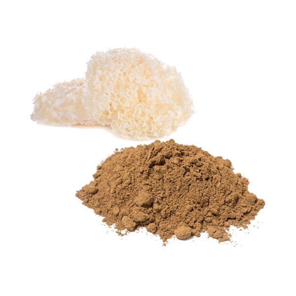 Bulk Tremella Mushroom Powder Wholesale UK