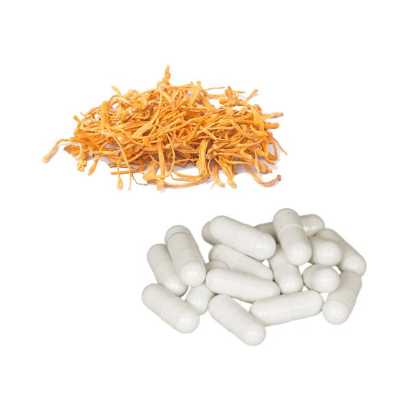 Bulk Pure 500mg Cordyceps Mushroom Capsules Wholesale UK